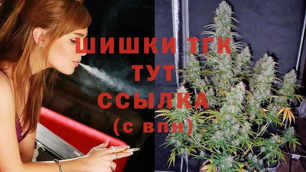 индика Верея