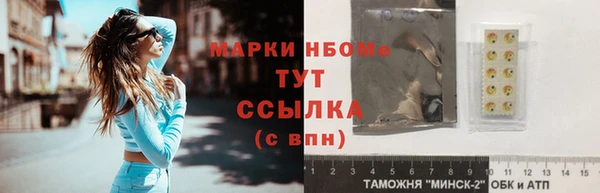 индика Верея