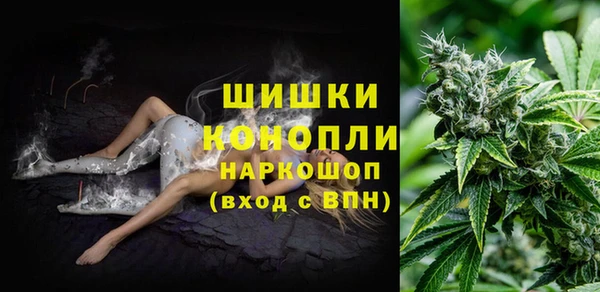 индика Верея